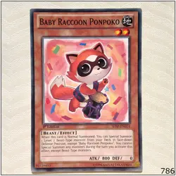 Baby Raccoon Ponpoko - SHSP-EN014 - Common 1st Edition Yugioh - Image 1