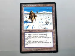 MTG - ICE AGE (BB/'95) - ADARKAR WASTES - ADARKARWUSTE / RARE / LIGHT PLAYED /EX - Image 1