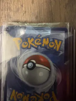 Liepard 137/086 Illustration Rare ⭐ S&V: White Flare Pokemon TCG NM - Image 5