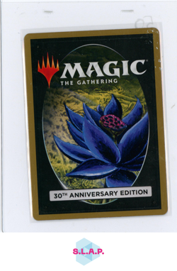 HUMAN CLERIC WIZARDS OF THE COAST 1/1 30A 30TH ANNIVERSARY EDITION MTG ENGLISH - Image 2