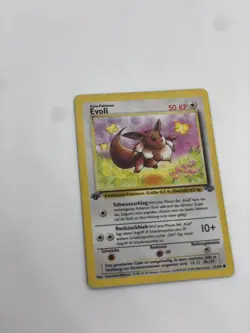 Evoli Pokemon Vintage Sammler Set + First Edition + Aquana Evee Sammlung - Image 3