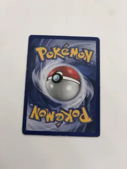 Evoli Pokemon Vintage Sammler Set + First Edition + Aquana Evee Sammlung - Image 4