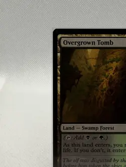 Overgrown Tomb - Lorwyn Eclipsed (ECL) Rare Land Magic The Gathering Card #266 - Image 5
