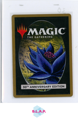 WALL OF WATER WIZARDS OF THE COAST 387 MTG 30TH ANN. EDITION EN - Image 2