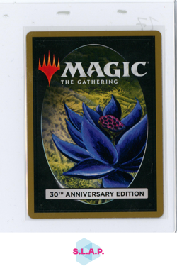 ISLAND WIZARDS OF THE COAST 585 MTG 30TH ANNIVERSARY EDITION ENGLISH - Image 2