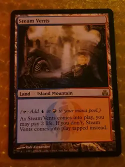 Steam Vents Mtg Guildpact - Image 1