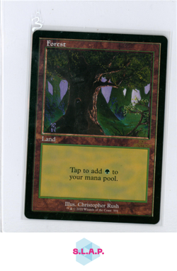 FOREST WIZARDS OF THE COAST MAGIC THE GATHERING 594 30TH ANN. EDITION EN - Image 1