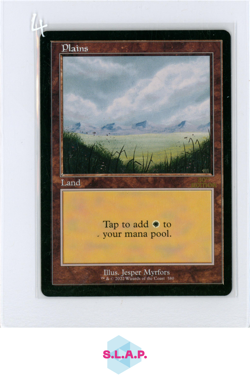PLAINS WIZARDS OF THE COAST MTG 580 30TH ANN. EDITION EN - Image 1