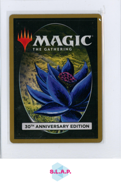 PLAINS WIZARDS OF THE COAST MTG 580 30TH ANN. EDITION EN - Image 2