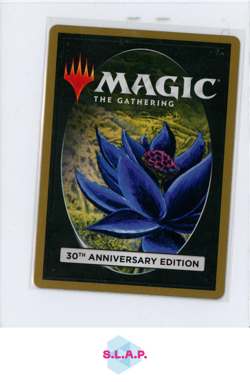 PLAINS WIZARDS OF THE COAST MTG 580 30TH ANN. EDITION EN - Image 2
