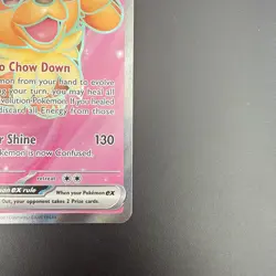 Dachsbun ex 160/142 Stellar Crown Ultra Rare Full Art Pokemon - Image 5