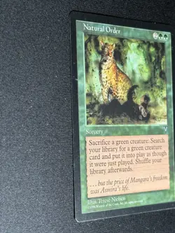 Magic: The Gathering Natural Order Visions Regular Green Rare Sorcery Nielsen - Image 2