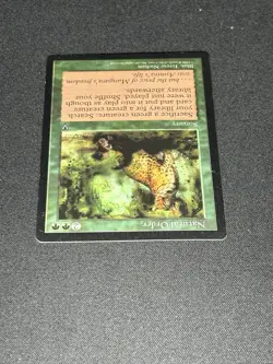 Magic: The Gathering Natural Order Visions Regular Green Rare Sorcery Nielsen - Image 5
