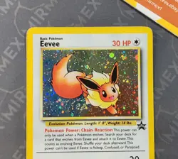 Pokemon Eevee #11 Wizards Black Star Promo English Holo - Image 3