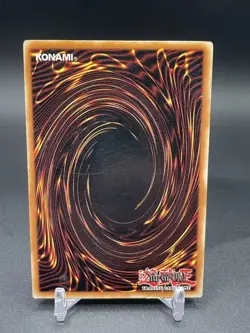 Red-Eyes B. Dragon SD1-EN002 Yugioh TCG Card 1st Edition - Image 2