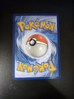 3 Jumbo Promos Blastoise Raichu and Groudon Pokemon Card - Image 3