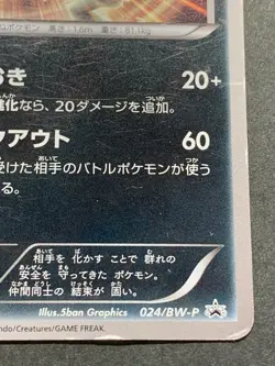 Pokemon card Zoroark 024/BW-P PROMO 2011 Japanese Nintendo Pocket Monster Rare - Image 5