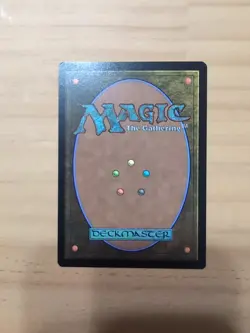 MTG Radagast Lord of the Rings - Radagast the Brown NM Magic The Gathering - Image 2