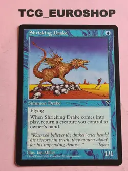 Shrieking Drake (×2)●ENGLISH + PORTUGUESE●VISIONS●1997●COMMON●MTG●LP #2522 - Image 2