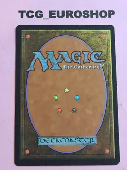 Shrieking Drake (×2)●ENGLISH + PORTUGUESE●VISIONS●1997●COMMON●MTG●LP #2522 - Image 3