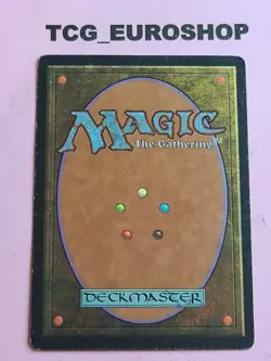 Shrieking Drake (×2)●ENGLISH + PORTUGUESE●VISIONS●1997●COMMON●MTG●LP #2522 - Image 5