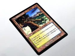 MTG - APOCALYPSE (BB/'01) - YAVIMAYA COAST (143) - YAVIMAYAKUSTE / NEVER PL. /NM - Image 3