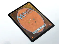 MTG - APOCALYPSE (BB/'01) - YAVIMAYA COAST (143) - YAVIMAYAKUSTE / NEVER PL. /NM - Image 4