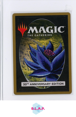 SINKHOLE WIZARDS OF THE COAST MTG 30A 30TH ANNIVERSARY EDITION ENGLISH - Image 2