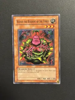 Wodan The Resident Of The Forest TP1-E027 Tournament Pack 1 European NM Common - Image 1