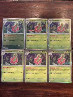 (6) Pokemon TCG Meganium 010/132 Holo & Reverse Holo LOT! Mega Evolutions - Image 1