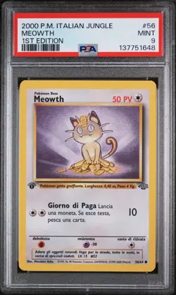 Pokemon PSA 9 Meowth #48 Jungle 1st Edition 2000 Italiano - Image 2