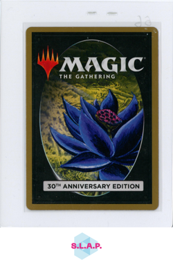 ROD OF RUIN WIZARDS OF THE COAST MTG U 0265 30TH ANN. EDITION EN - Image 2