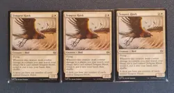 MTG Tempest Hawk x 3 - Tarkir: Dragonstorm - TDM - Near Mint+ - Image 1