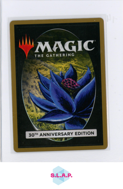 IRONCLAW ORCS WIZARDS OF THE COAST MTG C 0155 30TH ANN. EDITION EN - Image 2