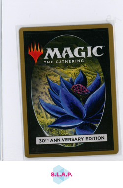 IRONCLAW ORCS WIZARDS OF THE COAST MTG 30A 30TH ANN. EDITION EN - Image 2