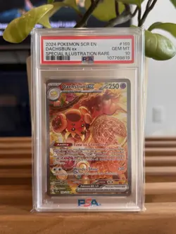 2024 Pokemon SCR EN Dachsbun ex Special Illustration Rare PSA 10 🔥 - Image 1