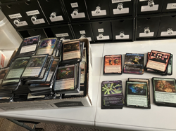 11 LBS Magic the Gathering Bulk Lot of Teenage Mutant Turtles R/M/U/C No basics - Image 2