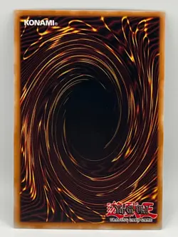 Yugioh-Blue-Eyes White Dragon-Ultra Rare-Limited Edition-CT13 EN008 (LP) NM - Image 4