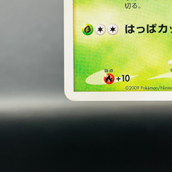 (MP) Bulbasaur 030/DPt-P Pokemon Center 10th Anniversary Promo 2009 Japan Card - Image 5