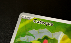 Pokemon Card TCG - Caterpie 172/165 - S&V 151 English - Illustration Rare - LP ⭐ - Image 4