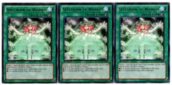 Yugioh- 3X Spellbook of Wisdom - Rare - 1st Edition - REDU-EN060 - Near Mint - Image 1