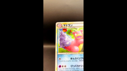 Swirl (MP) Slowbro 029/L-P Domino's Pizza Promo 2009 Pokemon Japanese Card - Image 2