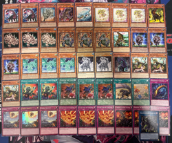 YUGIOH - DINOSAUR BEATDOWN DECK - FOSSIL DYNA PACHYCEPHALO, ANIMADORNED, TYRANNO - Image 1