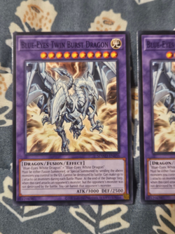 Blue-Eyes Twin Burst Dragon x3 SDWD-EN036 Structure Deck Yugioh - Image 2