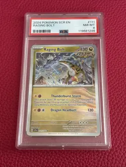 Pokemon TCG Raging Bolt 111/142 PSA 8 Stellar Crown Holo Rare NM-MT 2024 Card - Image 1