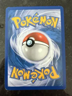 Pokemon Raikou HGSS19 Trainer Kit Promo Holo Basic 80 HP 2010 English Card - Image 2