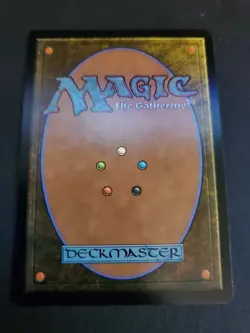 Anthem of Champions (Borderless) [Foundations] Magic MTG NM - Image 2