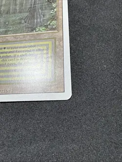 Bayou Revised Edition Dual Land Magic: The Gathering NM condition - Image 3