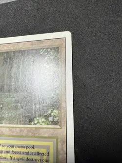 Bayou Revised Edition Dual Land Magic: The Gathering NM condition - Image 4