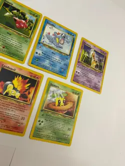 1st Edition Pokemon Neo Genesis Lot Hoppip Totodile Girafarig Cyndaquil Sunkern - Image 5